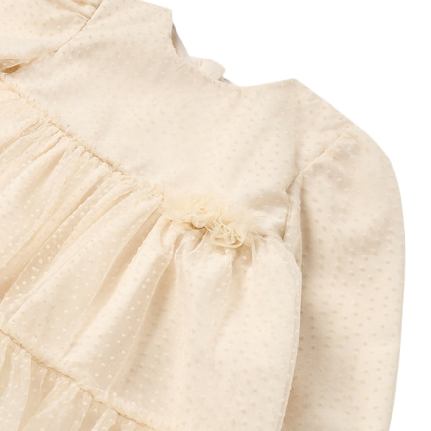 Tulle Long Sleeve Dress