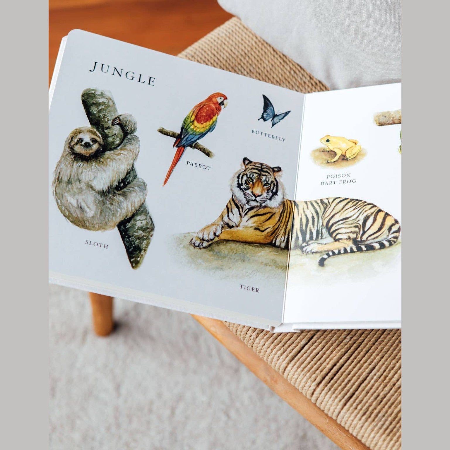 Our Big Book of Animals (Board Book)
