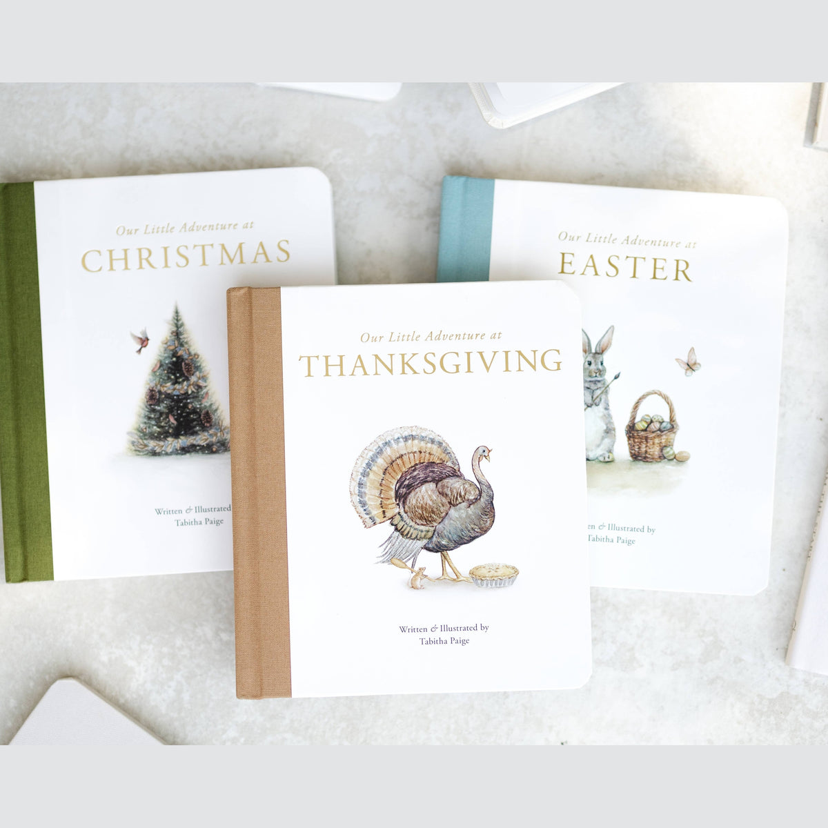 Our Little Adventure at Christmas (Baby's first Christmas)