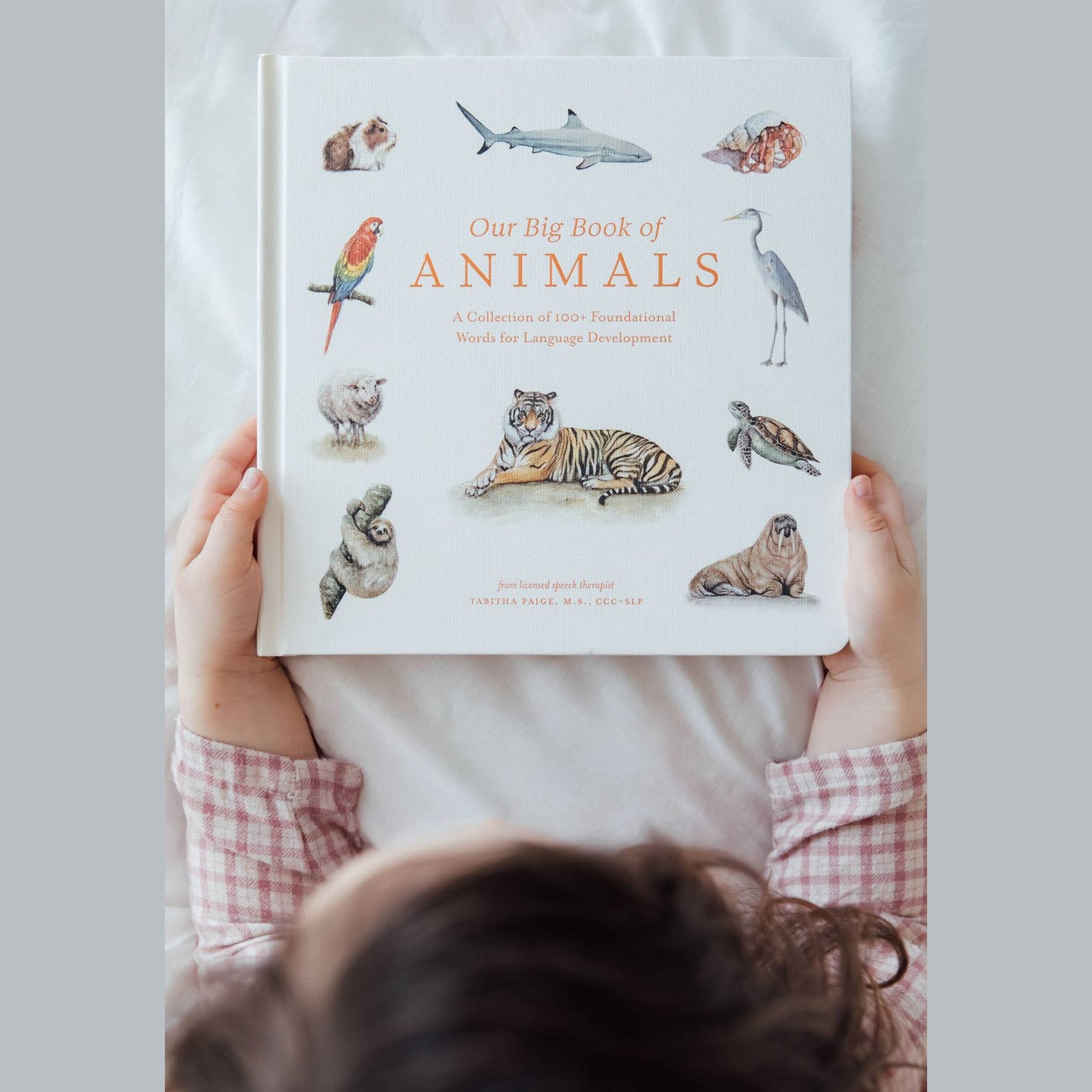 Our Big Book of Animals (Board Book)