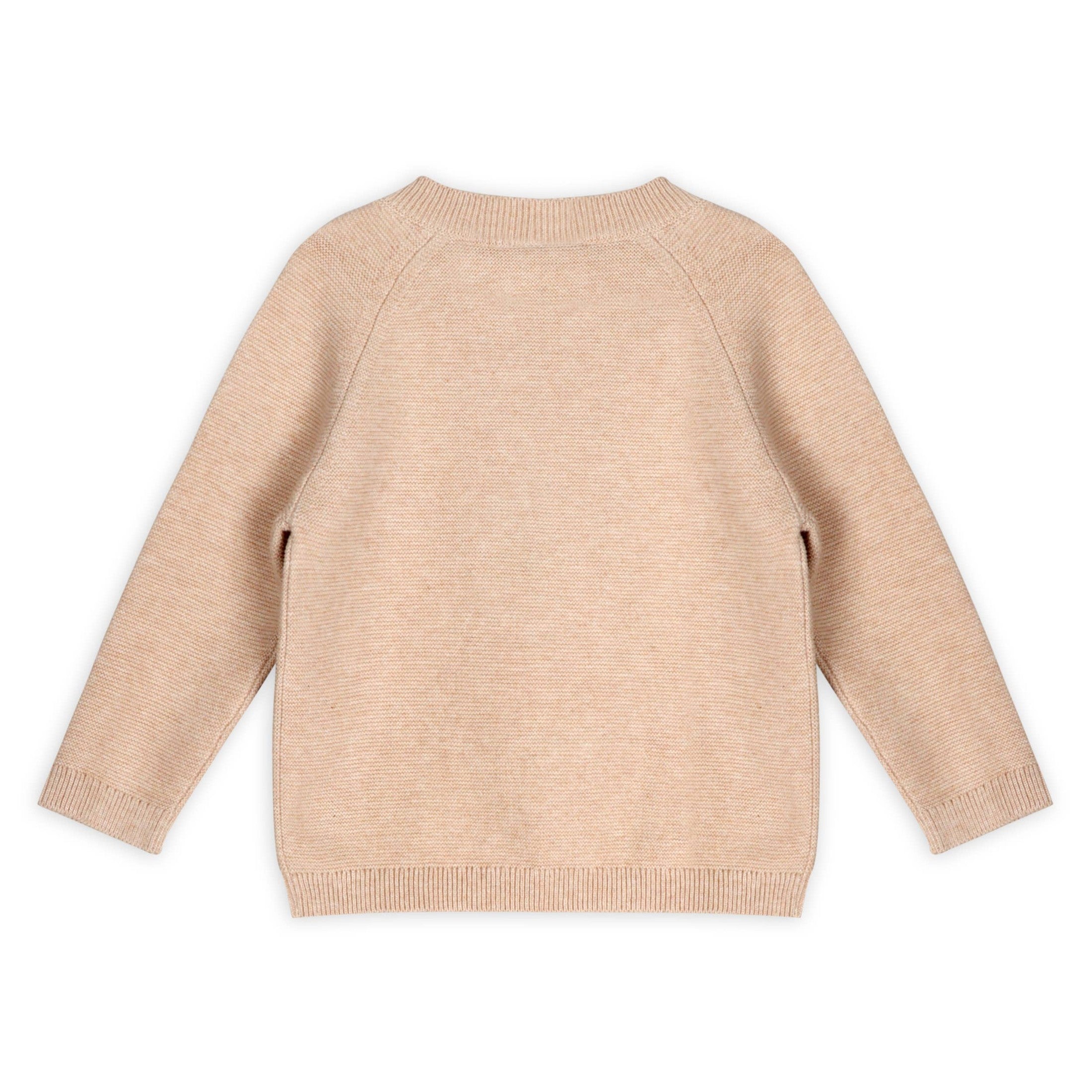Lion Appliqué Oat Knit Baby Sweater and Pants Set
