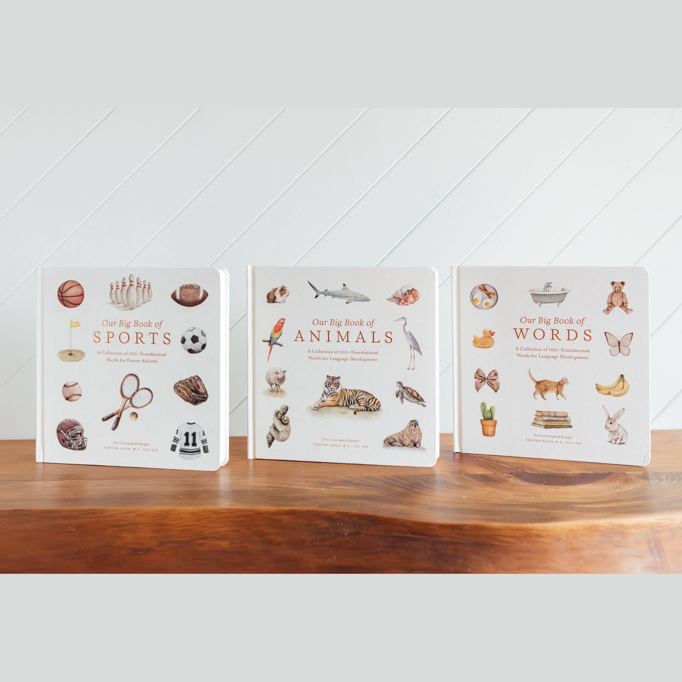 Our Big Book of Animals (Board Book)