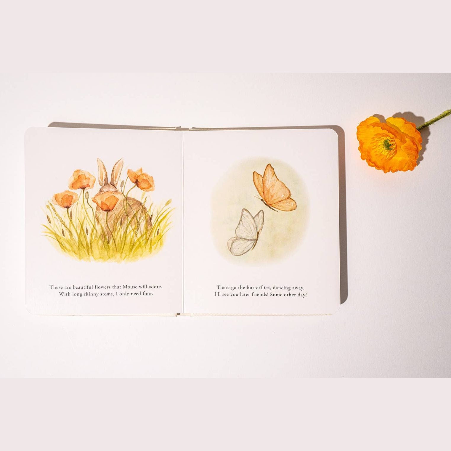 Our Little Adventures Board Book Box Set for Kids
