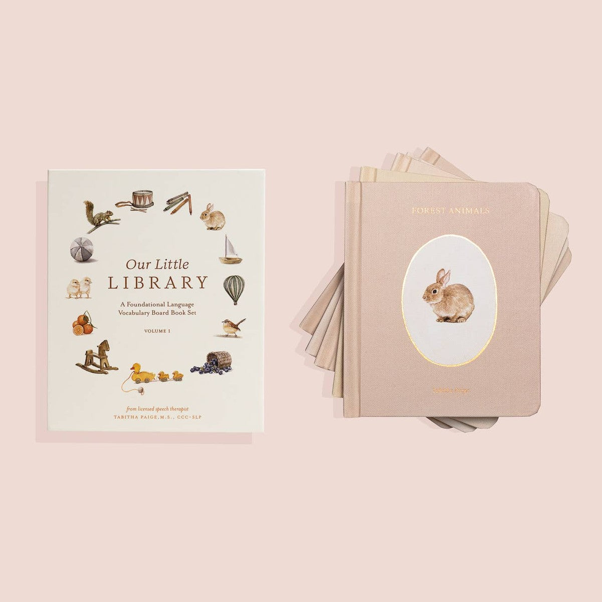 Our Little Library Vol. 1 (5 Board Book Box Set)