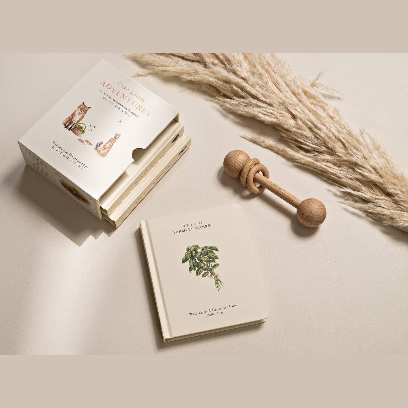 Our Little Adventures Board Book Box Set for Kids