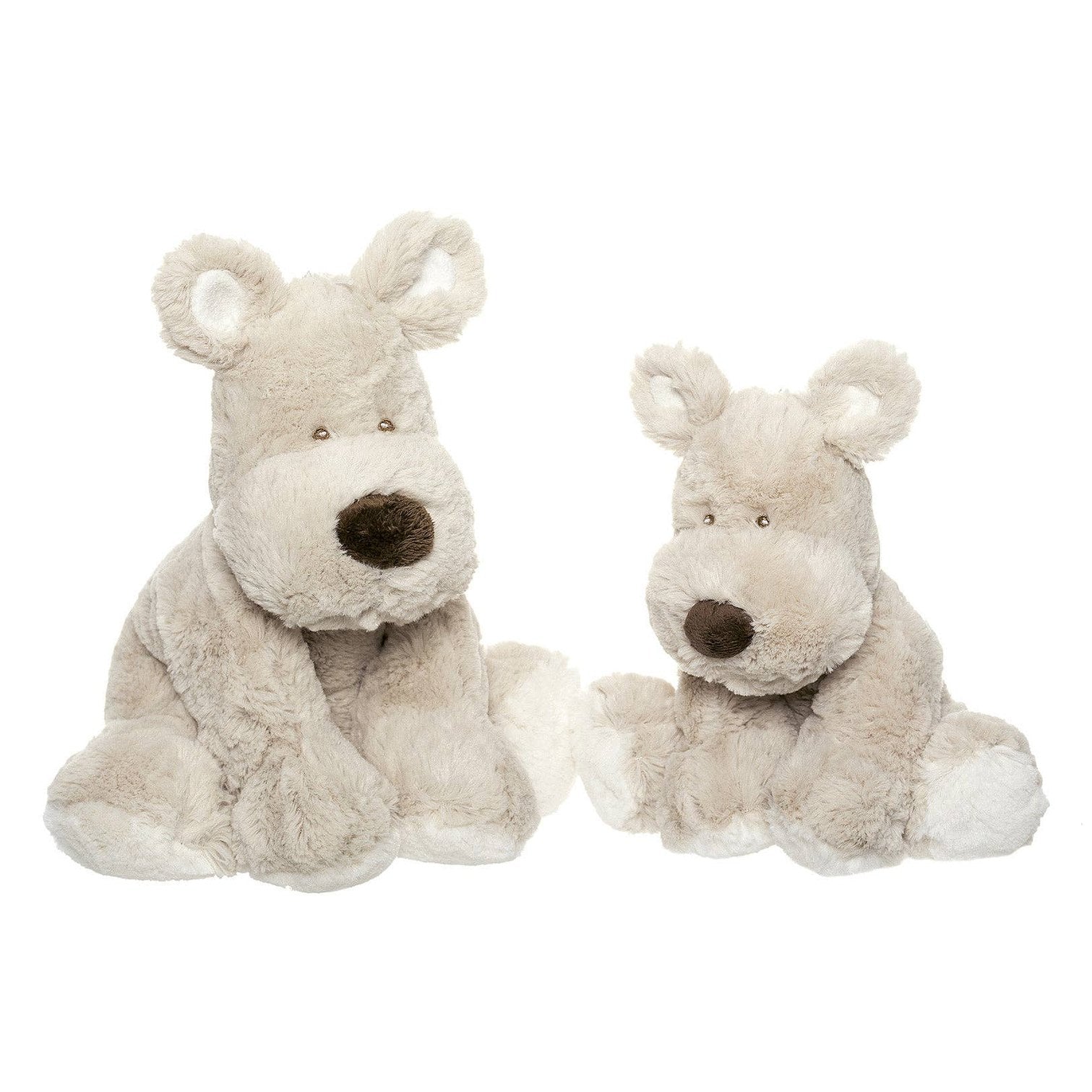 Medium Teddy Cream Puppy Dog