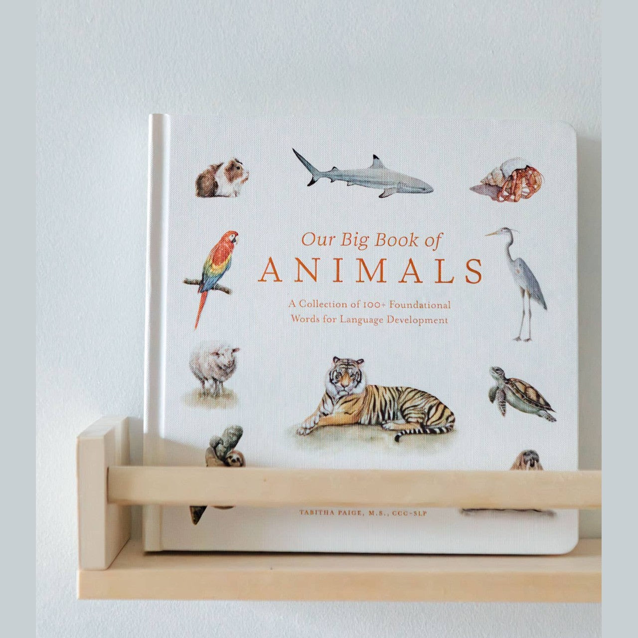 Our Big Book of Animals (Board Book)