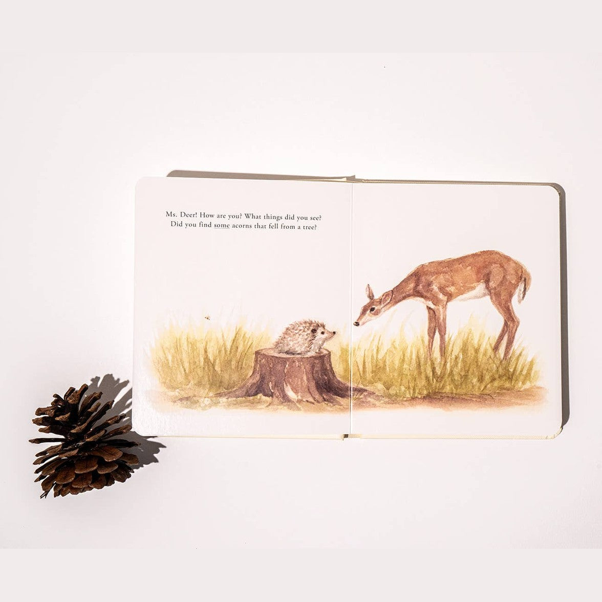 Our Little Adventures Board Book Box Set for Kids
