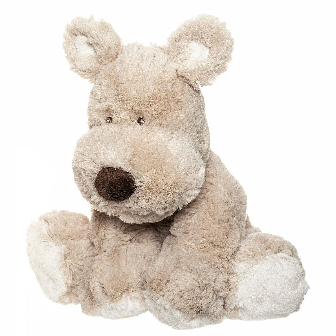 Medium Teddy Cream Puppy Dog