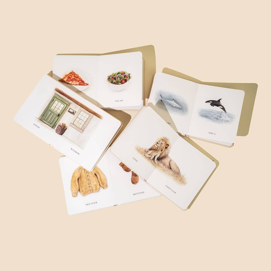 Our Little Library Vol. 2 (5 Board Book Box Set)